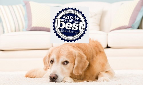 Best Carpet Cleaner for Pets