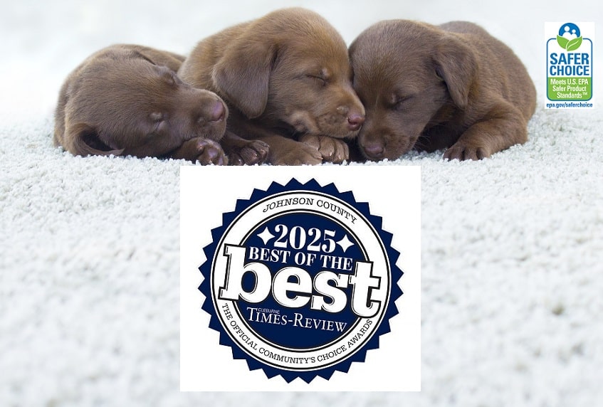 Carpet, Tile, Wood, Rug & Upholstery Cleaning in Burleson, Granbury, Joshua, Godley, Grandview