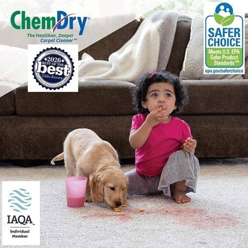 Carpet cleaner near me