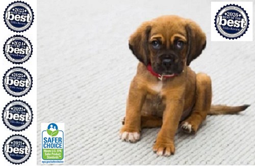 Dog and Cat Urine Odor Removal