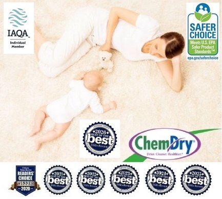 Local professional carpet cleaning